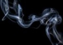 Kwikfynd Drain Smoke Testing
stlucia